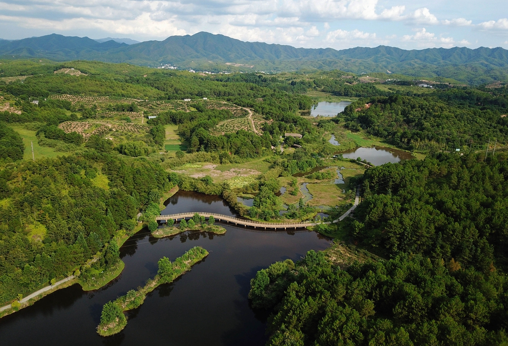 福建省龍巖市長(zhǎng)汀縣的長(zhǎng)汀汀江國(guó)家濕地公園景色（2020年7月28日攝，無人機(jī)照片）。新華社記者 魏培全 攝