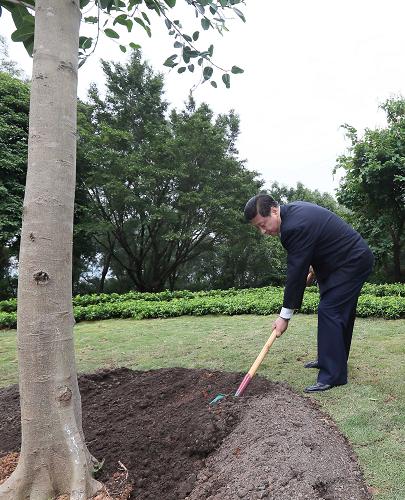 2012年12月7日至11日，習近平在廣東省考察工作。這是8日上午，習近平在深圳蓮花山公園種下一棵高山榕樹。新華社記者 蘭紅光 攝