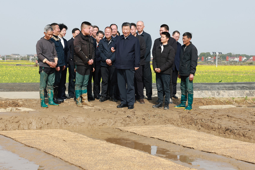 2024年3月18日至21日，中共中央總書記、國(guó)家主席、中央軍委主席習(xí)近平在湖南考察。這是19日下午，習(xí)近平在常德市鼎城區(qū)謝家鋪鎮(zhèn)港中坪村走進(jìn)田間，察看秧苗培育和春耕備耕進(jìn)展。新華社記者 王曄 攝